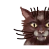 🐱