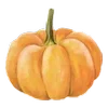 🎃