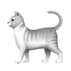 🐈