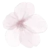 🌸