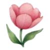 🌺