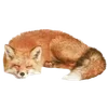 ❔