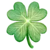 🍀