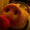 🍓