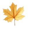 🍁