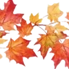 🍁