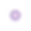 🟣