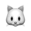 🐱