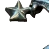 🌟
