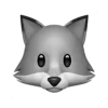 🦊