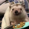 😋