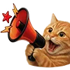 📣