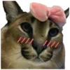 🎀