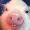 😃