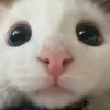 👀