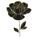 🌹