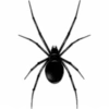 🕷️