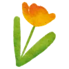 🌼