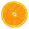🍊