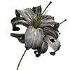 🥀
