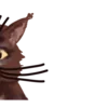 🐱