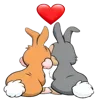 🐰