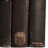 🌟