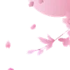 🌸