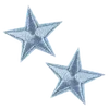 🌟