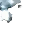 🦋