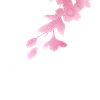 🌸
