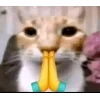🤩