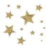 ✨