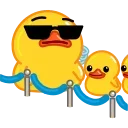 ✋️