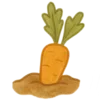 🥕