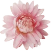 🌸