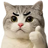 🙂‍↕️