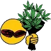 😎