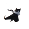 😺