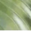 🤩