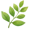 🌿