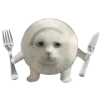 🍽️