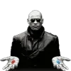 😎