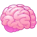 🧠
