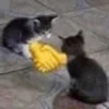 🤝