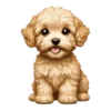 🐶
