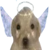👼