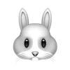🐰