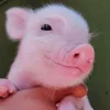 😊