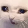 😭